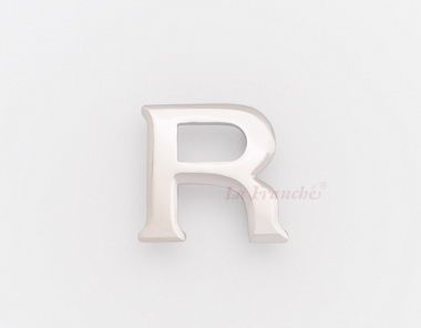 r stainless buckle